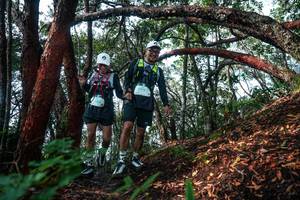 BIB: 
                            <button type="button" onclick="openModal(26344873)" class="btn btn-primary btn-sm float-right btn-popup" data-toggle="modal" data-target=".modal-high-quality">
                        <i class="fas fa-shopping-cart"></i> Add to Cart
                    </button>
                                            <button type="button" onclick="isThisMe(26344873, true)" class="btn btn-success btn-sm float-right btn-popup btn-isme hidden" data-toggle="tooltip" data-placement="bottom" title="นี่คือรูปของคุณใช่ไหม คลิกที่นี่เพื่อเอาเข้าอัลบั้ม">
                        <i class="fas fa-plus"></i> Add to album
                    </button>
                    <button type="button" onclick="isThisMe(26344873, false)" class="btn btn-warning btn-sm float-right btn-popup btn-isnotme hidden">
                        <i class="fas fa-ban"></i> Remove from album
                    </button>